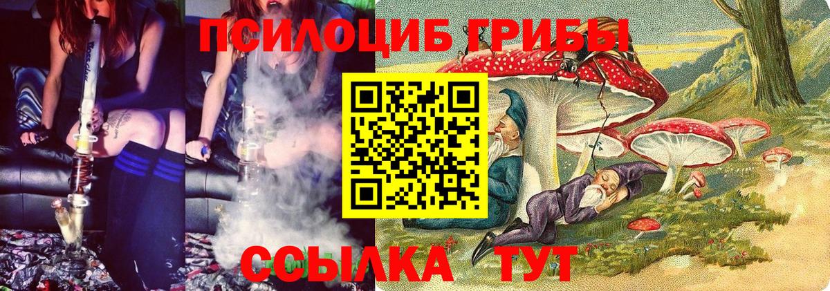Ухта  Псилоцибиновые грибы мухоморы  Вход с VPN 